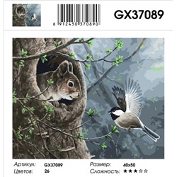 Картина по номерам на подрамнике GX37089