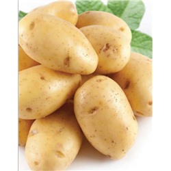 Лина  ЭЛИТА Картофель 5кг сетка (Среднеспелый сорт(65-80дней))