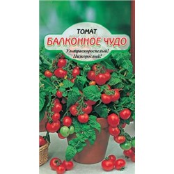 Балконное чудо томат 20шт (ссс)